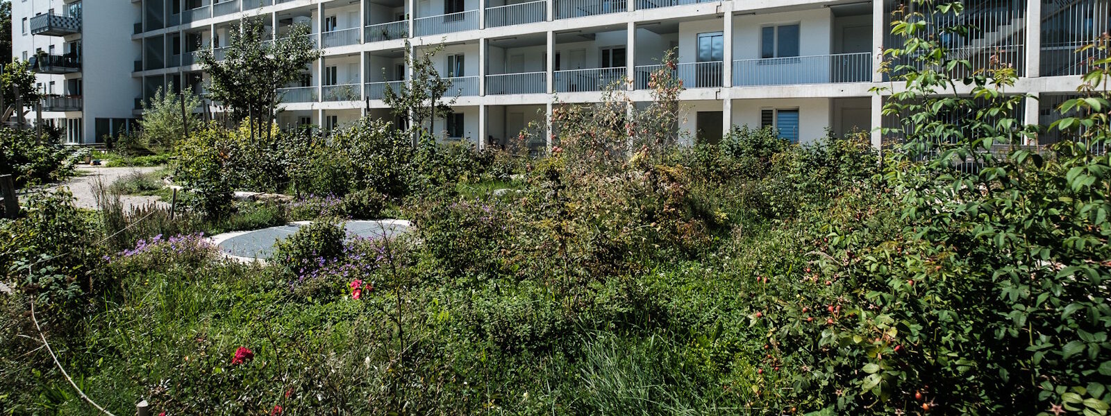 Innenhof Jörg-Hube-Str.